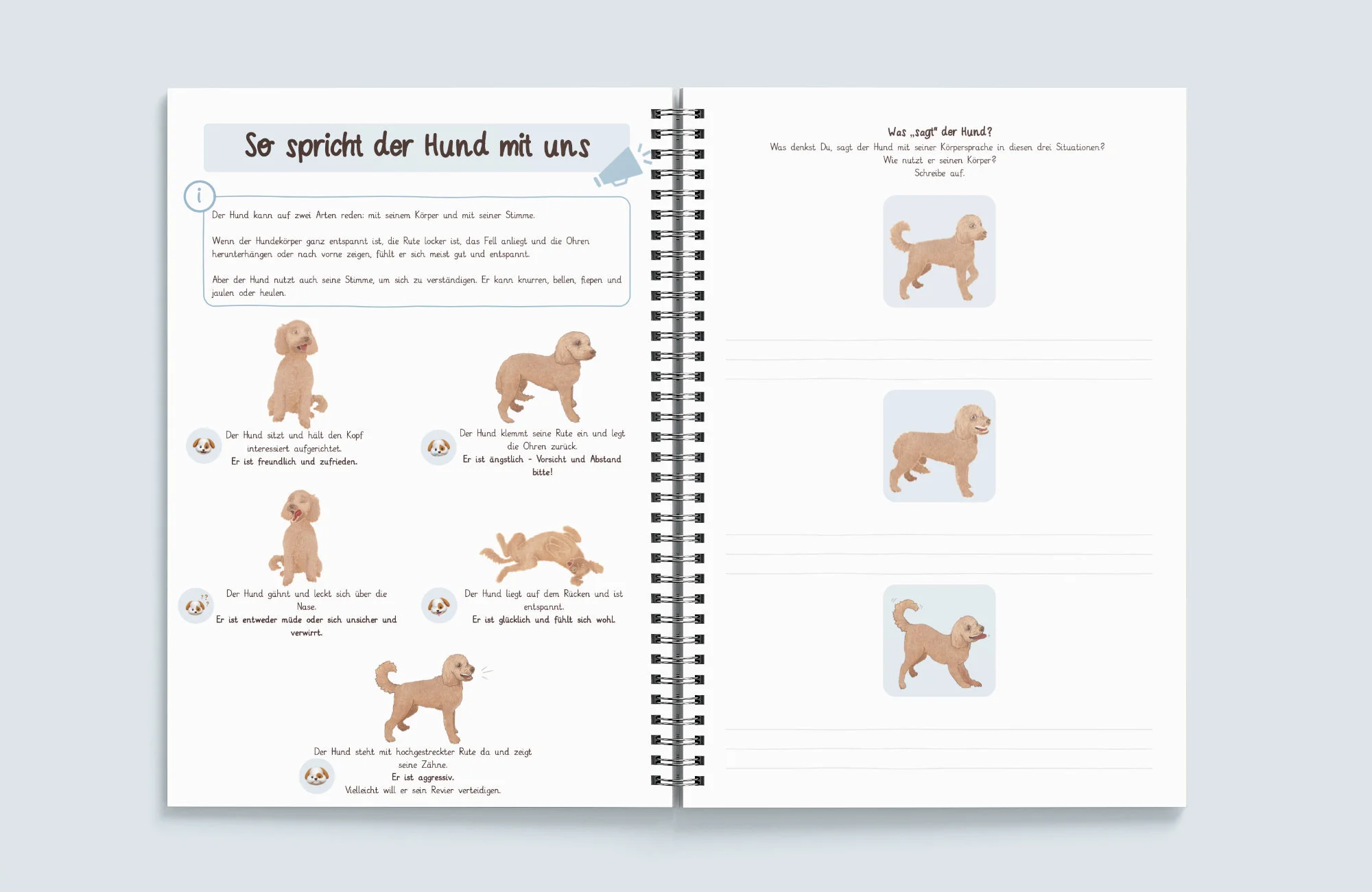 Hunde-Führerschein - Gruppensets — Lese-Lern-Hund